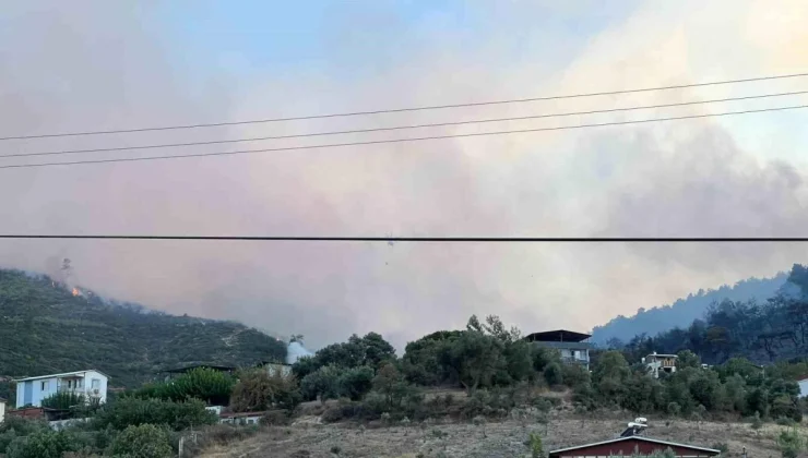 Manisa’da çıkan orman yangını kontrol altına alındı